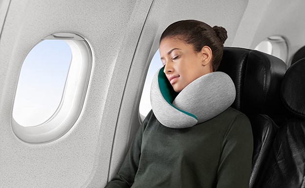 Ostrich travel pillow